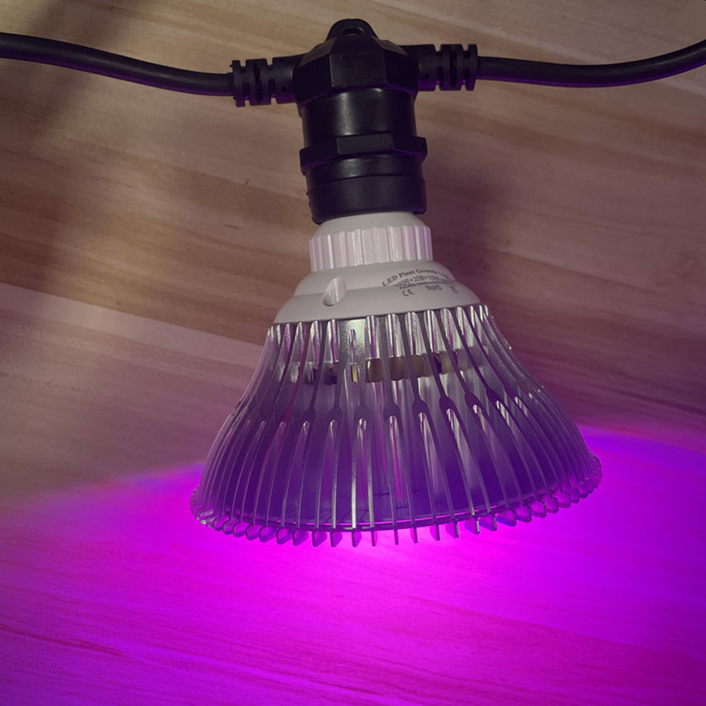Cabo de LED de 10M à prova d'á - Outdoor Lighting For Backyard avaliação e preço