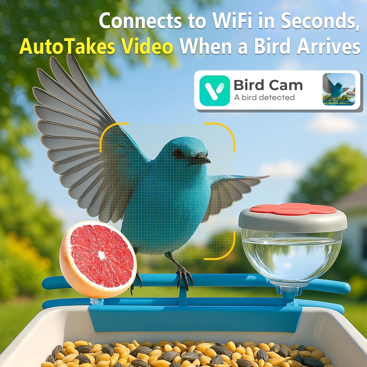 Câmera Inteligente para Alimen - Motion Sensor Outdoor avaliação e preço